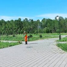 Непрерывный цикл: в большом Белореченске продолжается озеленение и уборка городских территорий