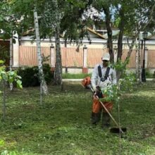 Из дождя в жару и обратно: в городе наращивают темпы покоса высокой травы