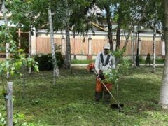 Из дождя в жару и обратно: в городе наращивают темпы покоса высокой травы