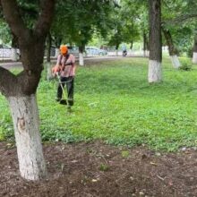 Дождь на паузе: в погодные окна бригады горхоза успевают ликвидировать назойливую траву в городе