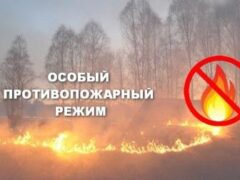 О введении особого противопожарного режима на территории МО Белореченский район