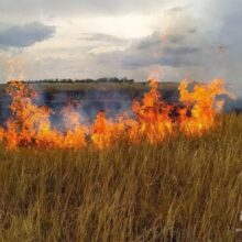 Предупреждение по чрезвычайной пожароопасности