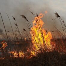 Предупреждение по чрезвычайной пожароопасности