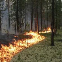 Штормовое предупреждение по чрезвычайной пожарной опасности на территории Краснодарского края