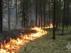 Штормовое предупреждение по чрезвычайной пожарной опасности на территории Краснодарского края