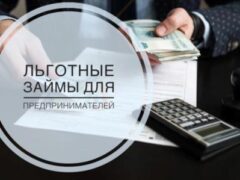 Предоставление льготных займов субъектам малого и среднего предпринимательства Краснодарского края