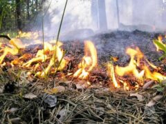 Штормовое предупреждение по чрезвычайной и высокой пожарной опасности на территории Краснодарского края