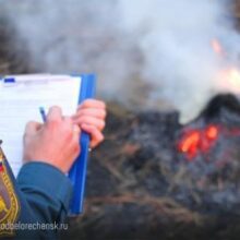 Максимальный класс пожарной опасности: в регионе продлено штормовое предупреждение