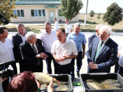 Вениамин Кондратьев посетил фермерское хозяйство в Красноармейском районе