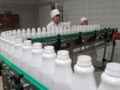 Краснодарский край с начала 2023 года произвел свыше 1 миллиона тонн молока