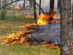 Штормовое предупреждение по чрезвычайной и высокой пожарной опасности на территории Краснодарского края