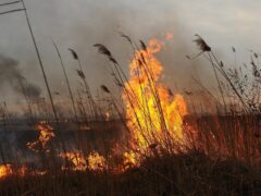 Штормовое предупреждение по чрезвычайной и высокой пожарной опасности на территории Краснодарского края