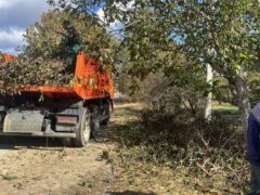 Спасатели и коммунальщики вторые сутки наводят порядок после ураганного ветра в городе