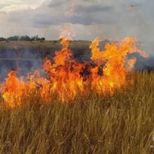 Штормовое предупреждение по чрезвычайной и высокой пожарной опасности на территории Краснодарского края