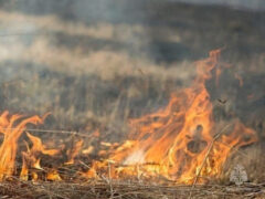 Штормовое предупреждение по высокой пожарной опасности на территории Краснодарского края