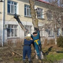 В числе приоритетных задач городских служб — спил и уборка сухих и аварийных веток