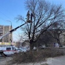 Проблема жильцов решена: во дворе многоквартирного дома спилили дерево, угрожавшее безопасности прохожих