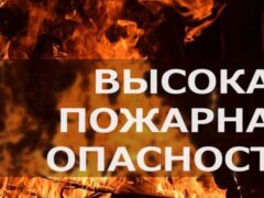 В регионе повышенная пожарная опасность