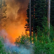 10 пожаров бушуют на Дальнем Востоке