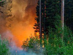 10 пожаров бушуют на Дальнем Востоке