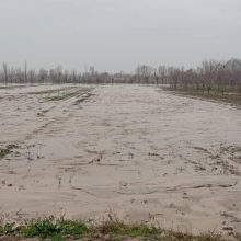 Неслыханное половодье уничтожает поля с посадками