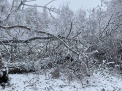 Снегопады оставили без электричества тысячи россиян