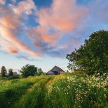 Следственный комитет решит спорный вопрос о землях в поселке Родники