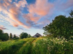 Следственный комитет решит спорный вопрос о землях в поселке Родники