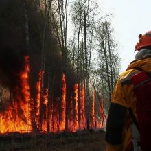 Площадь пожаров в Якутии превысила 400 гектаров