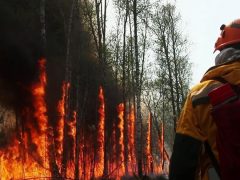 Площадь пожаров в Якутии превысила 400 гектаров