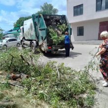 Хозяйственные службы Белореченска следят за порядком