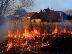 Высокий риск пожароопасности объявлен в Белореченске