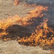 Сегодня и завтра в районе объявлен высокий уровень пожароопасности