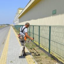 В преддверии дня рождения в городе проходят массовые субботники