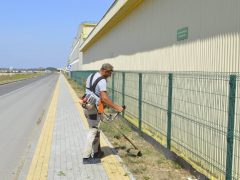 В преддверии дня рождения в городе проходят массовые субботники