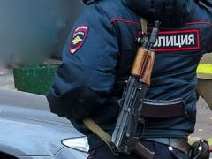 В Гулькевичском районе полицейскими обнаружена бесхозная плантация конопли