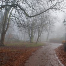 Пасмурно и туманно: какая сегодня погода в Белореченске и крае