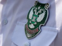 На Кубани аграрии вовсю используют пестициды и другие химикаты, которых нет в разрешенном списке