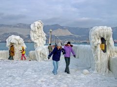 Нейросеть ответила кубанцам на вопрос, что такое зима в Новороссийске