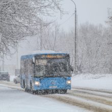 Опубликован график движения белореченских пригородных автобусов в праздники