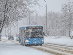 Опубликован график движения белореченских пригородных автобусов в праздники