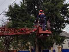 В Белореченске на улицах Лесной, Аэродромной и в переулке Узком посёлка Родники ликвидированы аварийные деревья