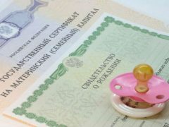 На Кубани аферы с маткапиталом помогли приезжей заработать более 7 миллионов