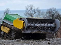 Жители Кубани в борьбе с сорняками надеются на саранчу