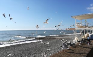 Турагенты не нашли ничего бюджетнее Сочи в межсезонье