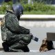 Власти Белореченска предупредили диверсиях и рассказали как себя вести
